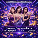 cara main Gates of Olympus